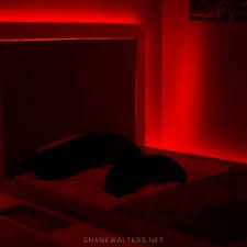 Pure red led's are easier and cheaper to make and probably much more efficient, because they would be pure led's. View Red Bedrooms With Led Lights Background Tekno Samurai