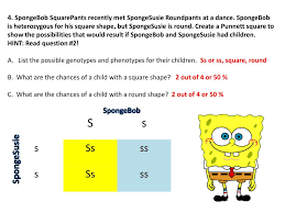 Real news, curated by real humans. Ppt Planner Oct 23 T Punnett Squares D Predict The Probability Of An Offspring S Genotype Powerpoint Presentation Id 2005185