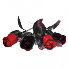 Red floral design border stock photo image of petal. Bunch Of Roses Red Black A Gothic Style Bunch Of Flowers Karneval Universe