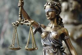 Image result for Justicia nyassana