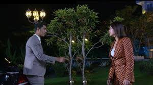 Curi curi cinta episode 23 (sedutan episode). Ikatan Cinta Malam Ini 26 Februari Makin Seru Al Mati Matian Larang Andin Lakukan Hal Ini Ada Apa Tribun Jabar