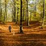 Skåne Kicks Off Mental Health Week with Cross-Border Collaboration and Free Activities