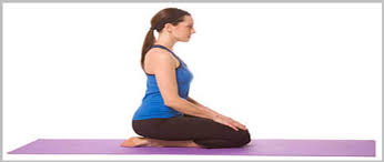 Vajrasana For Weight Loss Benefits Of Vajrasana Variations