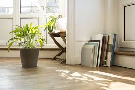 30 Houseplants That Can Survive Low Light Best Indoor Low Light Plants