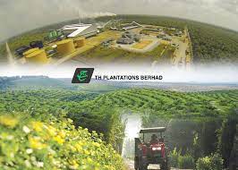 The crr report published on april 12, 2018 on th plantations stated that .for investors, the historical share price development and the potential financial risk assessment form a. What Th Plantations Owns Assets And Non Performing Subsidiaries