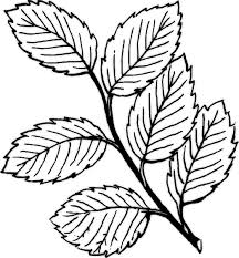 Black And White Free Images Of Flowers Free Clip Art Flowers Black And White Free Flower Clipart Flower Art Clip Art