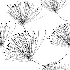 Graphique Noir Et Blanc Graphic Black And White Dessin Noir Et Blanc Illustration En Noir Et Blanc Art Noir Et Blanc