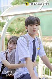 Pin On A Love So Beautiful Kdrama