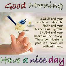 Pin On Morning Greetings