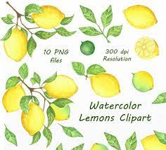 Watercolor Lemons Clipart Lemon Watercolor Clip Art Hand Etsy Lemon Watercolor Lemon Clipart Clip Art
