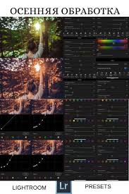 Hello sahabat lightroom kali ini kita akan membuat sebuah preset lightroom hijab dengan menggunakan rumus lightroom gelap, yah karena foto yang kita gunakan adalah foto malam hari. Osennyaya Obrabotka Dlya Lajtrum Na Telefon Presety Lajtrum Presets Lightro Adobe Lightroom Photo Editing Photo Editing Lightroom Lightroom Presets Tutorial