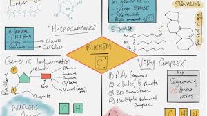 Biochemistry Review Youtube