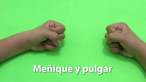 Последние твиты от tu gimnasia cerebral (@gymcerebral). Ejercicios Cerebrales Brain Gym Menique Y Pulgar Youtube