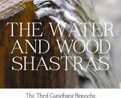 Water And Wood Shastras More Info Could Be Found At The Image Url Buddhism Books Buddha Wisdom Tibetan Buddhism