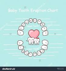 The Best Baby Teeth Chart Printable Garza S Blog