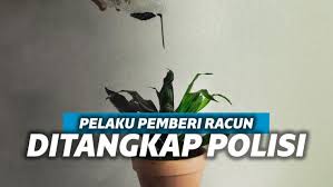 Makanan berupa sate untuk takjil itu sebenarnya untuk orang lain. 85uzypgdm Vjgm