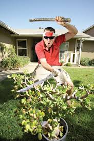 There S A New Gardener In Town Arts San Luis Obispo New Times San Luis Obispo