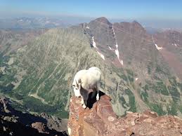 Pyramid Peak Trip Report 11/22/2015