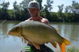 The lake is around 20ha in size and up to 25m deep and given that after the gravel extractions it was closed for 30 years, there are surely some heavy surprises to be found. Fishing Camp Serravalle Catfish Carp Zander Fishing Italy Am Po