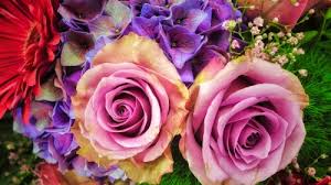 Complex and artistic jigsaw puzzles make great commemorative gifts, corporate promotions or educational toys. Flowers For You Wednesday S Daily Jigsaw Puzzle Play Free Daily Jigsaw Puzzles From Jigsawaday