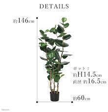 フェイク グリーン 人工 観葉植物 インディアンアーモンド 1 5m 150cm おしゃれ 枯れない インテリア 室内 造花 店舗 ディスプレイ Cf50900 シルク ド フラワー 通販 Yahoo ショッピング