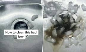 This Hack For Cleaning A Garbage Disposal Is Going Viral On Tiktok In 2020 Garbage Disposal Garbage Disposal Odor Disposal Odor