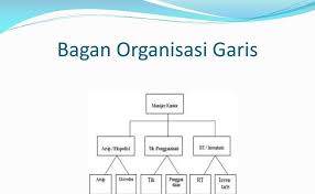 Maybe you would like to learn more about one of these? Gambar Bagan Struktur Organisasi Garis Dan Staf