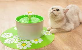 En Ucuz Kedi Malzemeleri Kedi Icin Alisveris Aliexpress