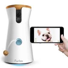 Installez facilement une caméra pour regarder. á La Meilleure Camera De Surveillance Pour Chiens Mon Ami Le Chien
