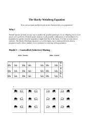 Hardy weinberg equation answers pogil. Pogil The Hardy Weinberg Equation S 1 Docx The Hardy Weinberg Equation How Can We Make Predictions About The Characteristics Of A Population Why Course Hero