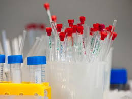If you can get into a cytogenetics lab as a lab technician, after one year of experience, you can take the board. Molecular Biotechnology Heidelberg University