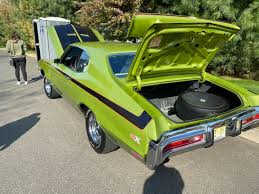 Image result for Lime Green 1969 Buick