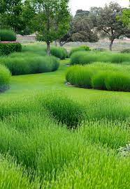 Miguel Urquijo Rubio Landscape Design Garden Design Beautiful Gardens
