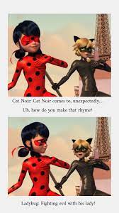 Ladybug Calling Herself His Lady Miraculous Ladybug Movie Miraculous Ladybug Funny Miraculous Ladybug Comic