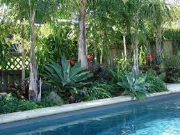 Subtropical Pool Landscaping Gardening Sub Tropical Plants Around Pool Landscaping Around Pool Backyard Pool Landscaping