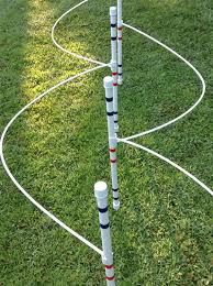 Dog Agility Equipmentweave Poles With Guide By Dogagilityshop 75 00 Fitness Dog Agility Course Dog Playground Dog Agility