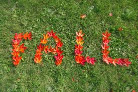 Red Leaves That Have Fallen To The Ground Spelling Out The Word ...