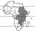 Image result for Pouteria adolfi-friederici