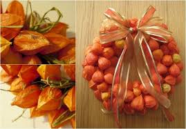 Decoration D Automne Exceptionnelle Avec Physalis Alkekengi Decoration Automne Deco Automne Deco Automnale