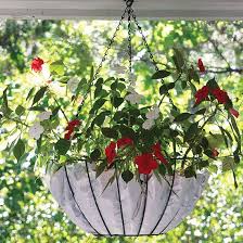 Unfortunately, most commercial hanging baskets are sold with 10 to 12″ pots as their growing next, fill the bottom of the basket with a high quality potting soil. Diy Hanging Basket Liner Diy Mother Earth News Hanging Plants Diy Hanging Planter Hanging Flower Baskets