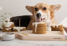 12 yummy homemade dog treat recipes and 12 amazing doughnuts for dogs. 14 Dog Birthday Cake Cupcake Homemade Recipes Playbarkrun
