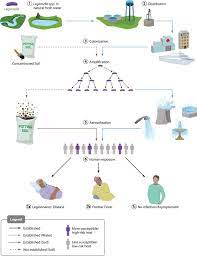 Tdm is simply the transmission of information from several different sources using one common channel or. Current And Emerging Legionella Diagnostics For Laboratory And Outbreak Investigations Clinical Microbiology Reviews
