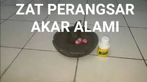 Cara membuat obat bius hirup dari obat tetes mata. Cara Membuat Obat Bius Hirup Dari Obat Tetes Mata Obat Bius Dari Obat Tetes Mata Berbagai Mata Naik Mobil