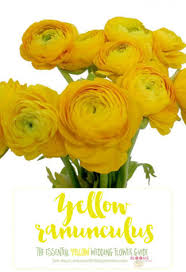 Being the most romantic type of flower, there is no doubt that rose is at the top of the list of many couples. Names And Types Of Yellow Wedding Flowers With Pics Flower Tips