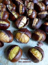 We did not find results for: Castagne Al Forno E Altri Metodi Di Cottura Ortaggi Che Passione