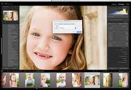 So you can still use lightroom for batch editing raw images while using daminion server to provide multiple users with fast and safe access to shared catalogs from multiple computers. Importing And Exporting Photoshop And Lightroom Presets Digital Photo Magazine