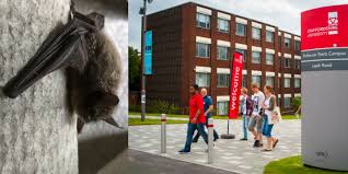 Welcome to staffordshire university, united kingdom. Stafford Shire University Uk Tuition Fees Admission Requirements And Cost Of Living Study Abroad 365