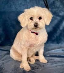 ❤️❤️❤️❤️❤️❤️❤️❤️❤️❤️❤️❤️❤️❤️❤️ UPDATE...