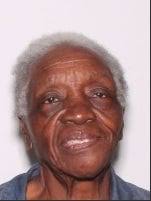 Woman, 87, great-granddaughter, 5, reported missing in St. Johns County