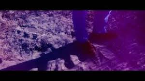 Wise men say only fools rush in. Foster Fools Can T Help Falling In Love Text Songtextes De